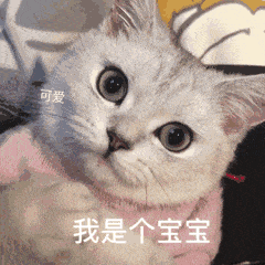 示例图片